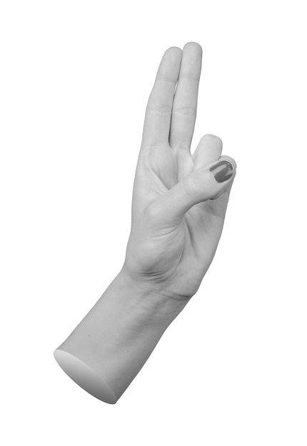 mano con el pulgar apoyado en el dedo meñique y anular mientras que el índice y el dedo medio están