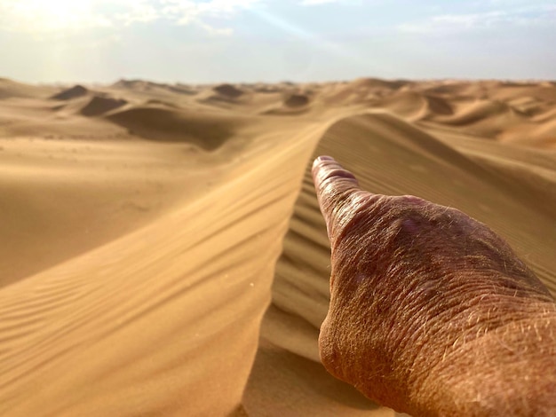 Una mano que se extiende hacia el horizonte con el sol brillando a través del desierto
