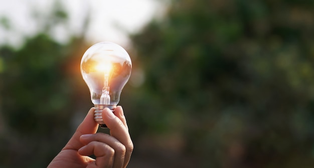 Mano que sostiene la bombilla en el fondo de la naturaleza. concepto de energía solar