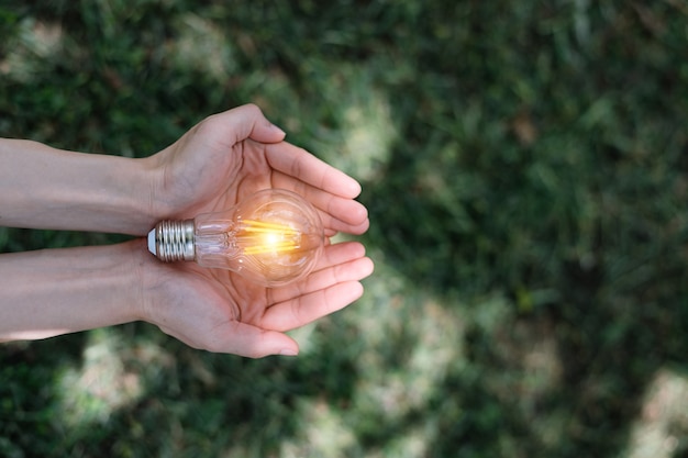 Foto mano que sostiene la bombilla con fondo verde. idea de energía solar en el concepto de naturaleza