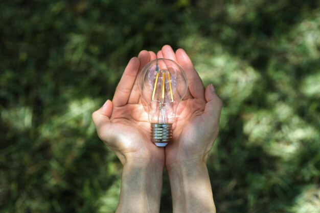 Mano que sostiene la bombilla en la naturaleza sobre fondo verde para el concepto de energía