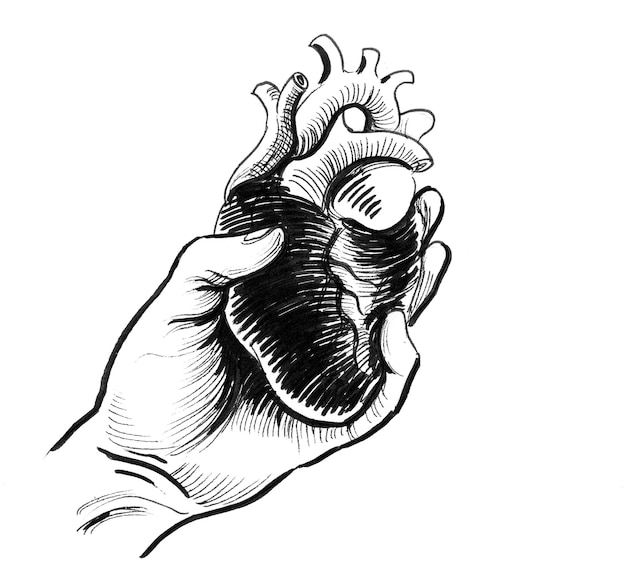 Mano que sostiene el corazón humano. Dibujo a tinta en blanco y negro