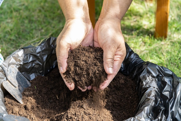 Mano que sostiene la materia orgánica de musgo de turba mejora el suelo para la agricultura concepto de ecología de cultivo de plantas orgánicas