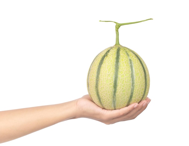 mano que sostiene el melón Cantaloupe completo único aislado sobre fondo blanco.