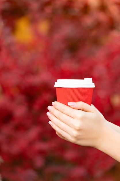 Mano que sostiene la taza de café de la mañana para llevar de papel