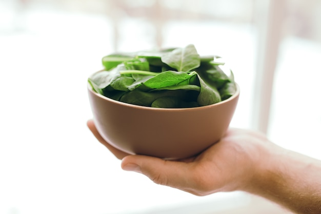 Mano que sostiene el tazón con ensalada de hojas frescas de espinaca. Concepto de alimentación vegetariana saludable. Hojas verdes de espinaca. Regalos de la naturaleza. Bendita cosecha.