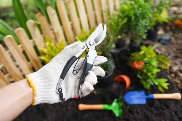 Mano que sostiene tijeras de podar en la agricultura del jardín