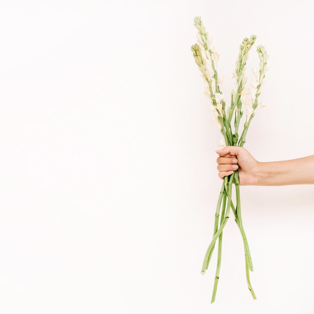 Foto mano con ramo de flores blancas