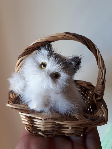 Foto mano recortada sosteniendo una canasta pequeña con un juguete de peluche