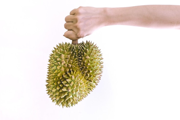 Mano recortada sosteniendo durian contra un fondo blanco