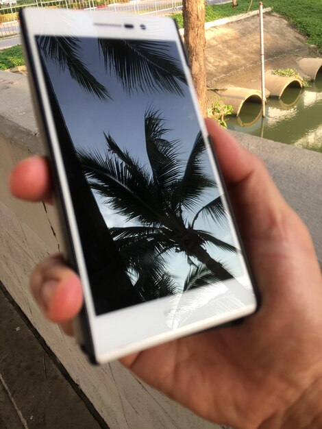 Foto mano recortada sosteniendo un teléfono inteligente con reflejo