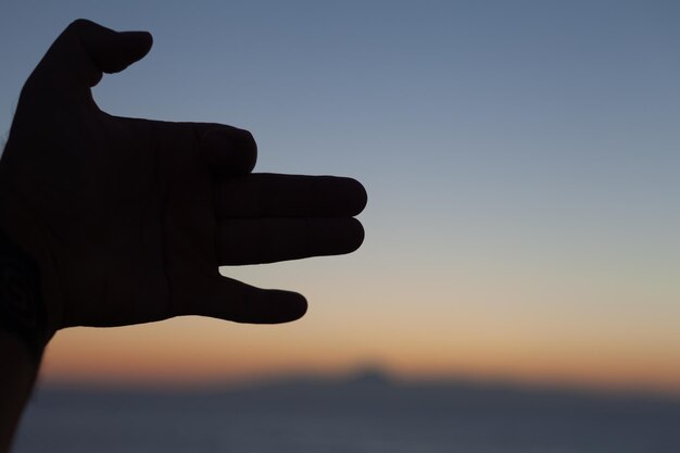 una mano representa la figura de un perro al atardecer