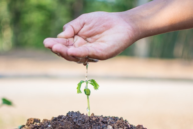 Mano sosteniendo agua y salvar el mundo y el Día Mundial del Medio Ambiente