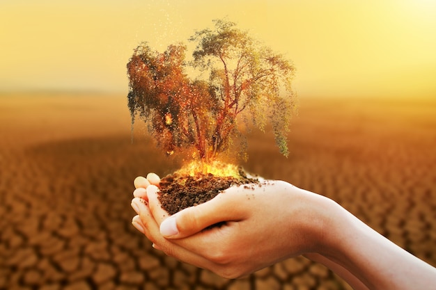 Foto mano sosteniendo un árbol en llamas con río seco en el fondo