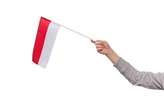 Mano sosteniendo la bandera de Polonia aislado en blanco