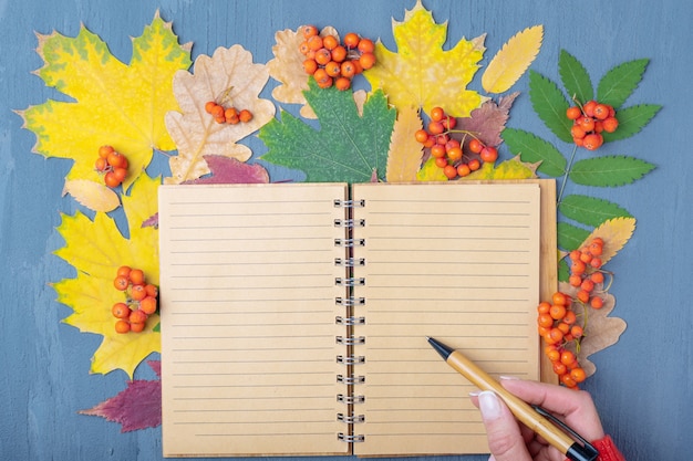 Foto una mano sosteniendo un bolígrafo sobre un bloc de notas de artesanía forrado en blanco sobre un fondo de otoño caído hojas secas de colores. estudiar en la escuela en otoño en concepto de septiembre y octubre. concepto de regreso a la escuela.