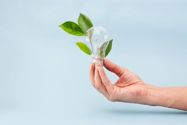 una mano sosteniendo una bombilla con hojas verdes en un fondo azul Eco y concepto de energía renovable