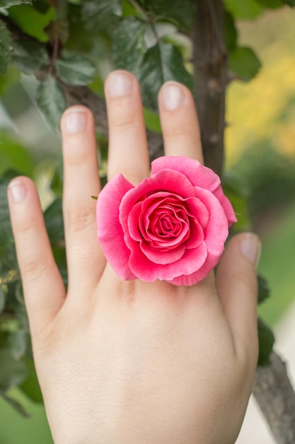 Mano sosteniendo una colorida flor rosa