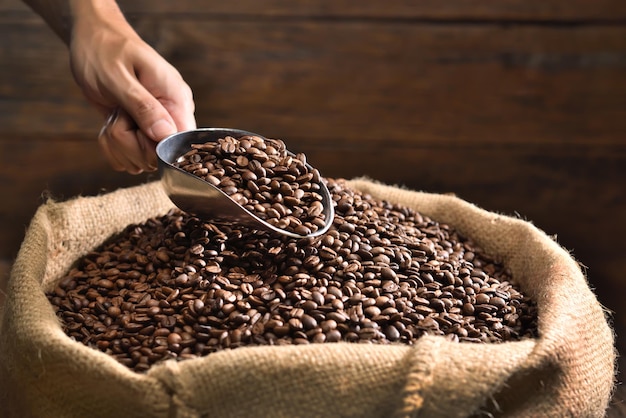 Mano sosteniendo un cucharón recogiendo granos de café tostados de un montón de frijoles en arpillera