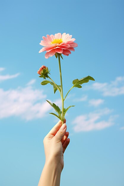 Una mano sosteniendo una flor aislada en el fondo del cielo