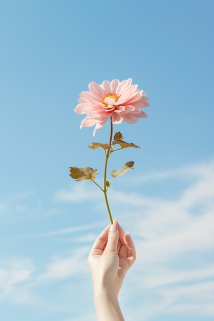 Una mano sosteniendo una flor aislada en el fondo del cielo