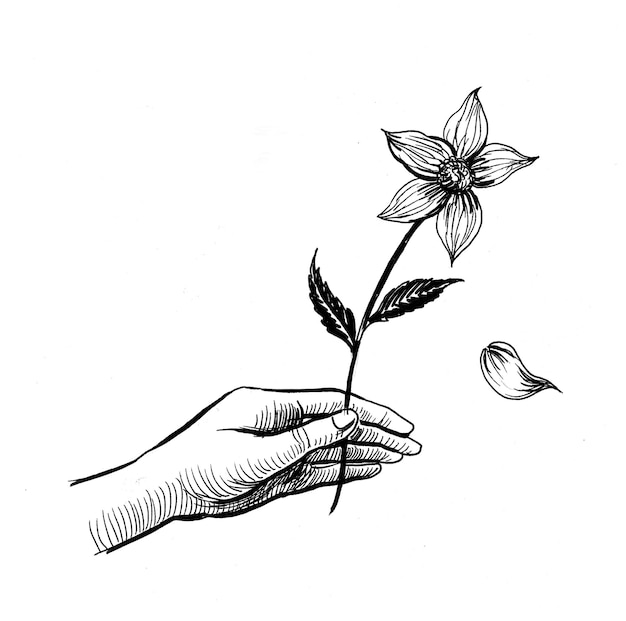 Foto mano sosteniendo una flor. dibujo a tinta en blanco y negro