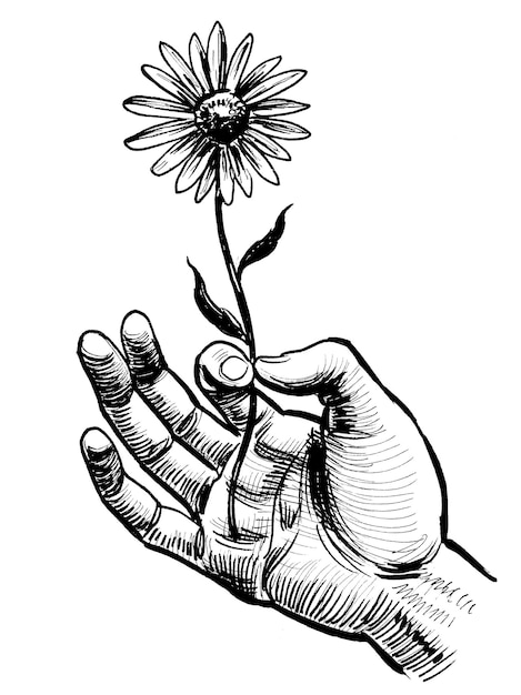 Mano sosteniendo una flor. Dibujo a tinta en blanco y negro