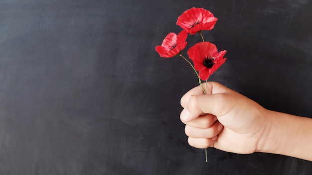 Foto mano sosteniendo flores de amapola rojas, día de recuerdo