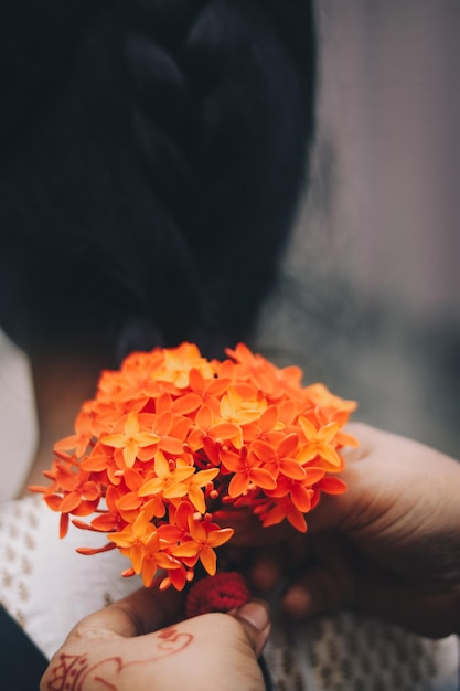 Foto una mano sosteniendo flores naranjas.