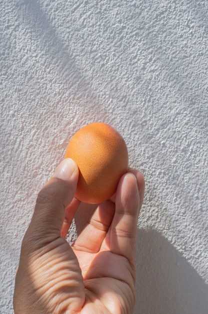 Mano sosteniendo huevo sobre fondo de cemento blanco