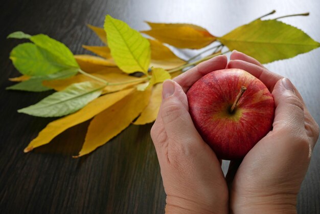 La mano sosteniendo la manzana roja sobre un fondo de madera negra con espacio de copia concepto de cosecha de otoño de primer plano