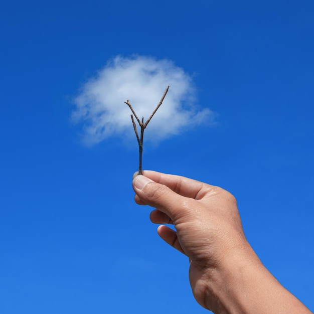 mano sosteniendo una rama contra la nube y el cielo azul