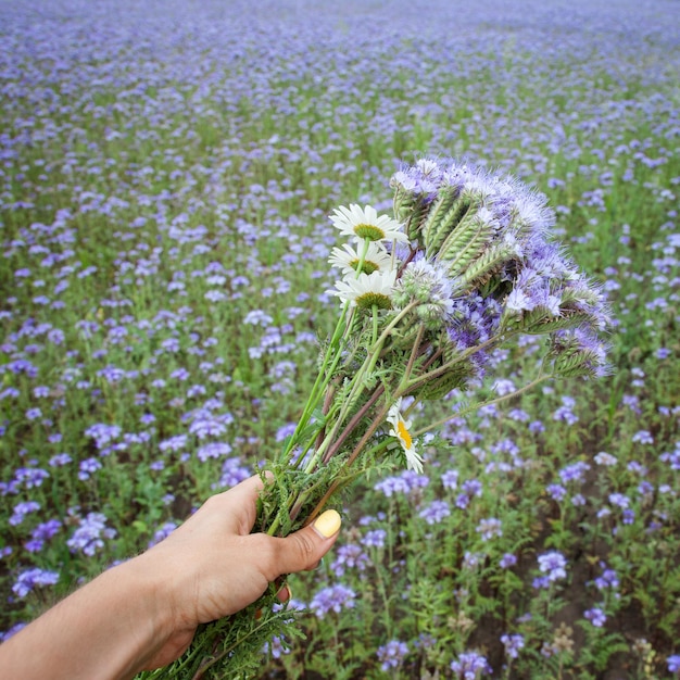 Mano sosteniendo ramo de flores