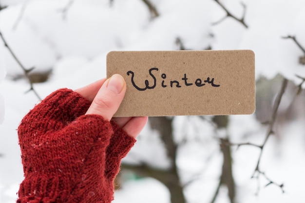 Mano sosteniendo una tarjeta en Winter Park. Copie el espacio. Texto de invierno en una tarjeta.