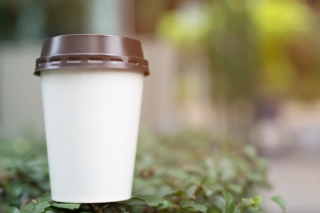 Mano sosteniendo una taza de papel para llevar tomando café en la luz del sol natural de la mañana. lugar de espacio para su logo. Deje espacio para escribir texto.