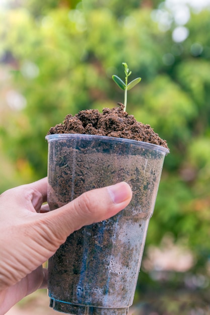 Foto mano sosteniendo una taza con una planta