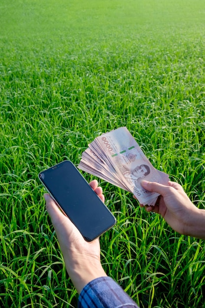 Una mano sosteniendo un teléfono inteligente en el césped en un parque con billetes de dinero rodeado de naturaleza y tecnología