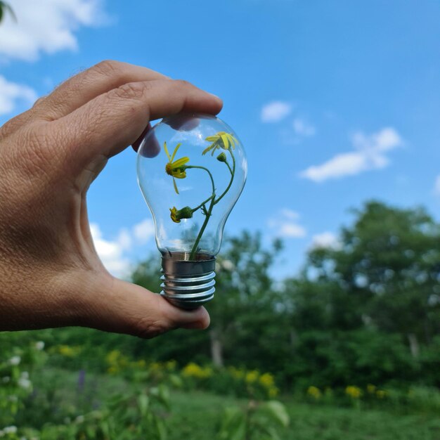 Foto una mano sostiene una bombilla con flores.