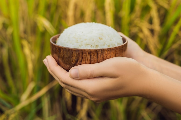 La mano sostiene una taza de arroz hervido en una taza de madera, en el contexto de un campo de arroz maduro.