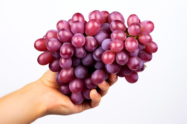 Foto la mano sostiene uvas rojas aisladas en blancas