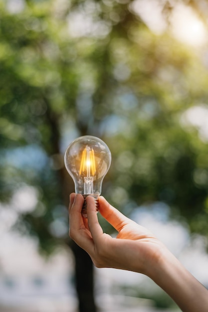 Mano sujetando una bombilla con fondo verde idea energía solar en la naturaleza conceptxA