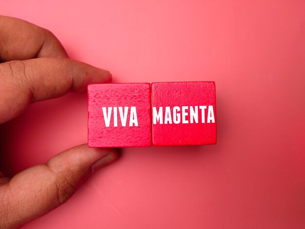 Mano sujetando un cubo de madera con la palabra VIVA MAGENTA