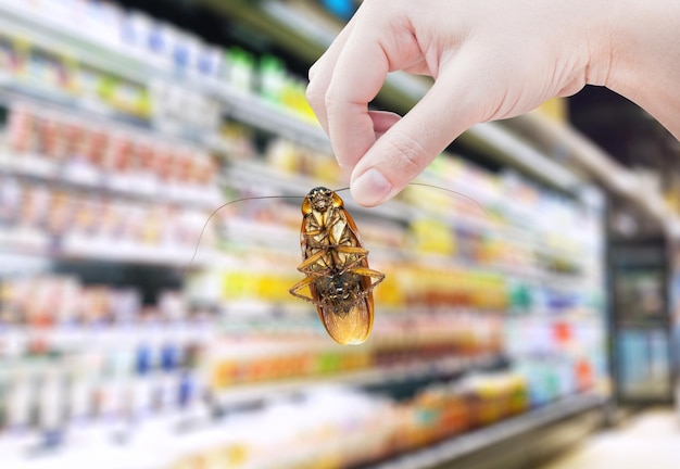 Mano sujetando cucaracha en el supermercadoeliminar cucaracha en centro comercial