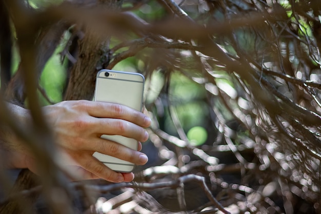 Mano con teléfono entre las ramas.