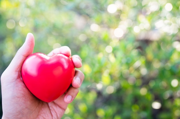 Mano, tenencia, corazón rojo