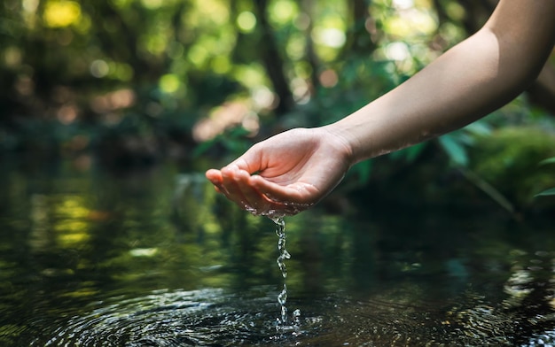 Foto la mano toca el agua en el estanque