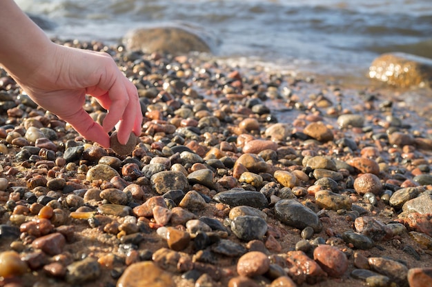 La mano toma una piedra pequeña entre las muchas que yacen en la orilla arenosa del río