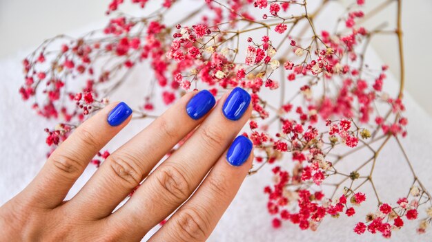 Mano con uñas azules sobre fondo de flores secas. Manicura femenina. manicura hermosa glamorosa. Manicura de invierno u otoño en azul. Color de esmalte de uñas en gel de moda