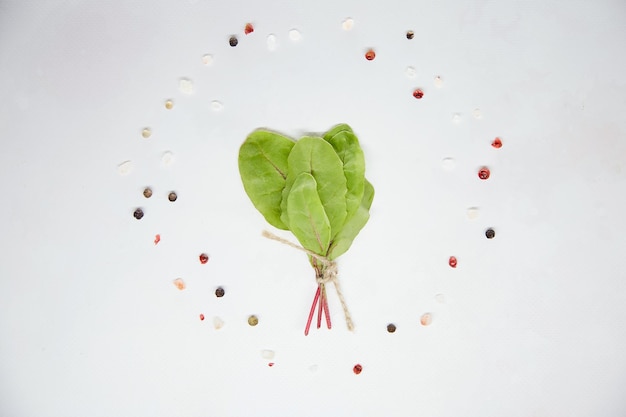 Un manojo de acelgas en un círculo de sal y granos de pimienta de colores Estilo de temporada Concepto de comida natural Fondo verde fresco