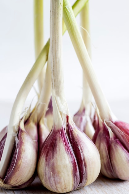 Un manojo de ajo en primer plano blanco